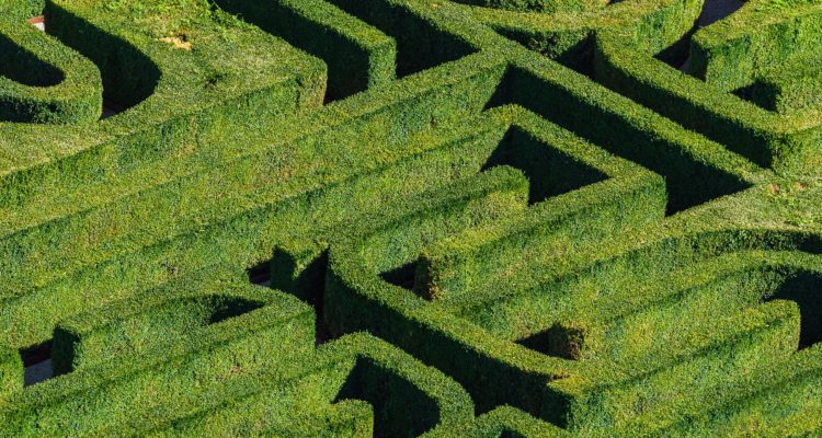 labyrinthe-vegetal-tpopova-750x400